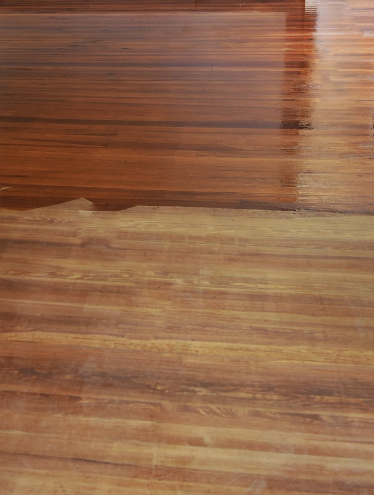 Vinyl and resilient floor restoration