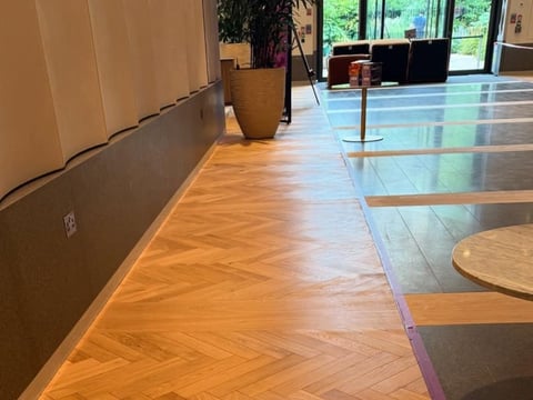 Modern office hallway with herringbone wood flooring, potted plant, and large windows overlooking green landscape